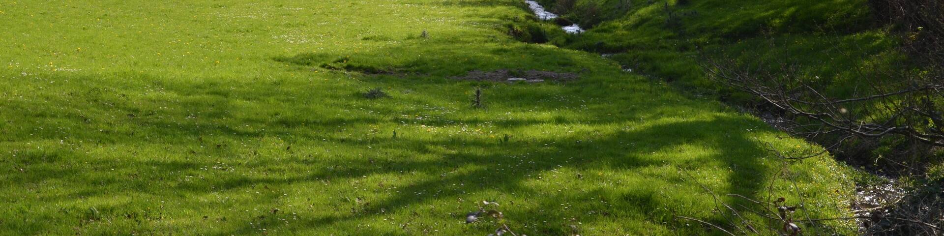 Vue sur le ruisseau des Vages, sur la commune de Malloué.