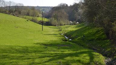 A green hillside with a stream, trees, and a utility pole.