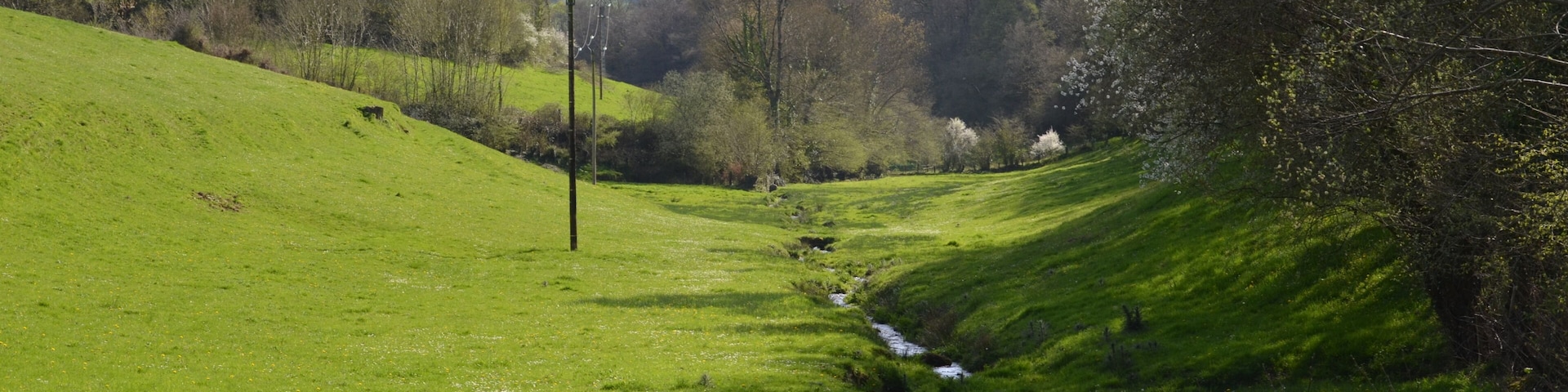 Vue sur le ruisseau des Vages, sur la commune de Malloué.