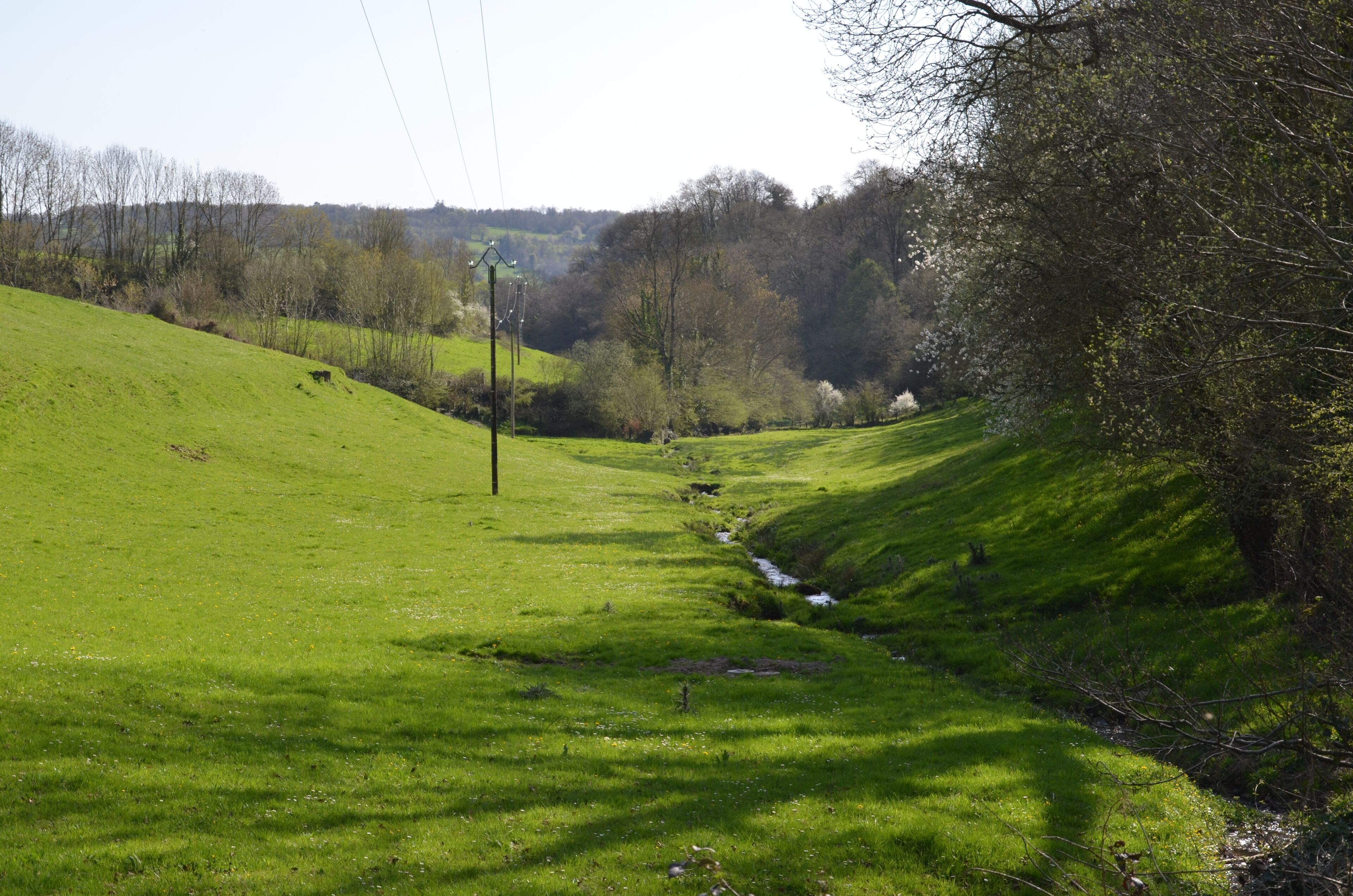 A green hillside with a stream, trees, and a utility pole.