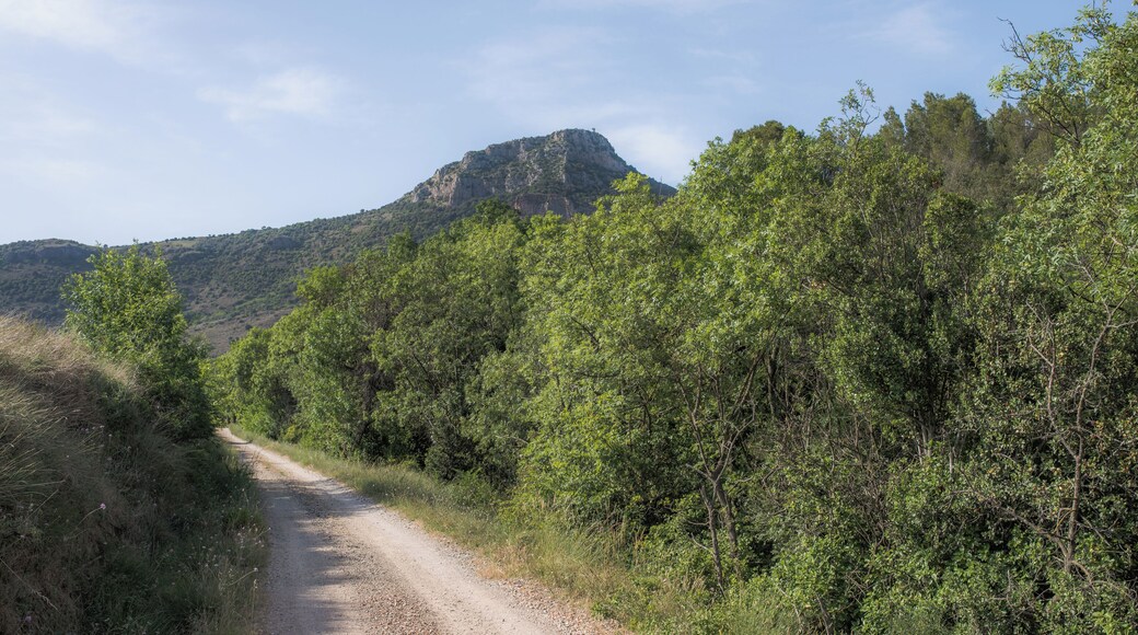 A trail and the Pic de Vissou (480m). Cabrières, Hérault, France.