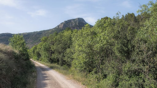 A trail and the Pic de Vissou (480m). Cabrières, Hérault, France.