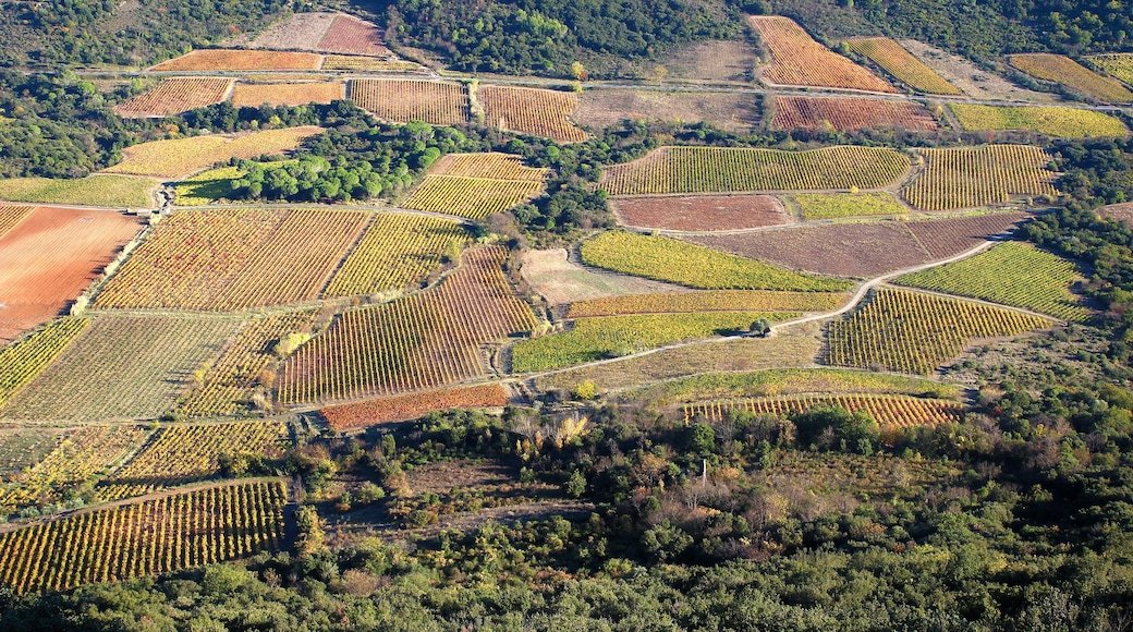 Panoramic view from the Vissou peak over the vineyards of the village of Cabrières in autumn (Hérault, Occitanie, France)