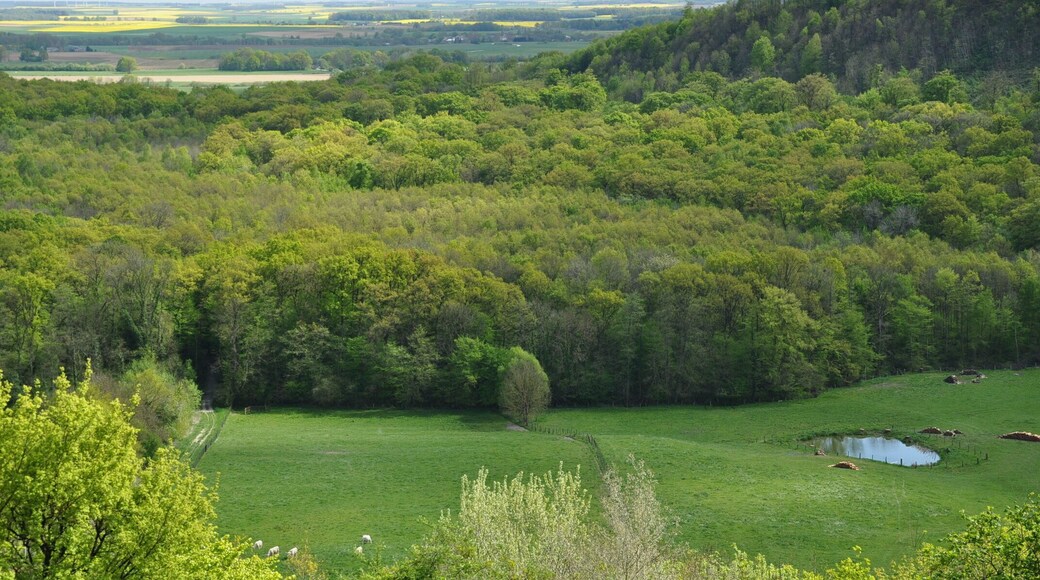 View over the Argonne region from Beaulieu-en-Argonne (canton Seuil-d'Argonne, Meuse department, Lorraine region, France).