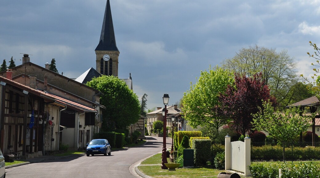 The Grande Rue in Beaulieu-en-Argonne (canton Seuil-d'Argonne, Meuse department, Lorraine region, France).