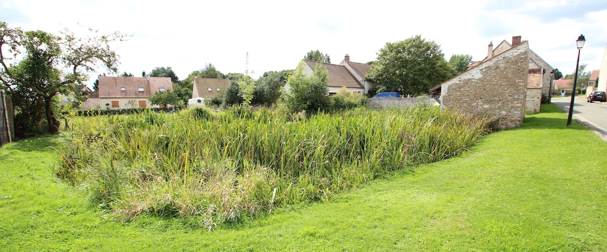 A grassy field with a stone wall and houses in the background.
