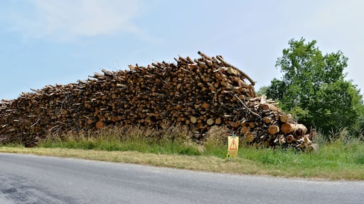 Pile of logs along road D 7, near the hamlet of Terres douces, Châtignac, Charente France.