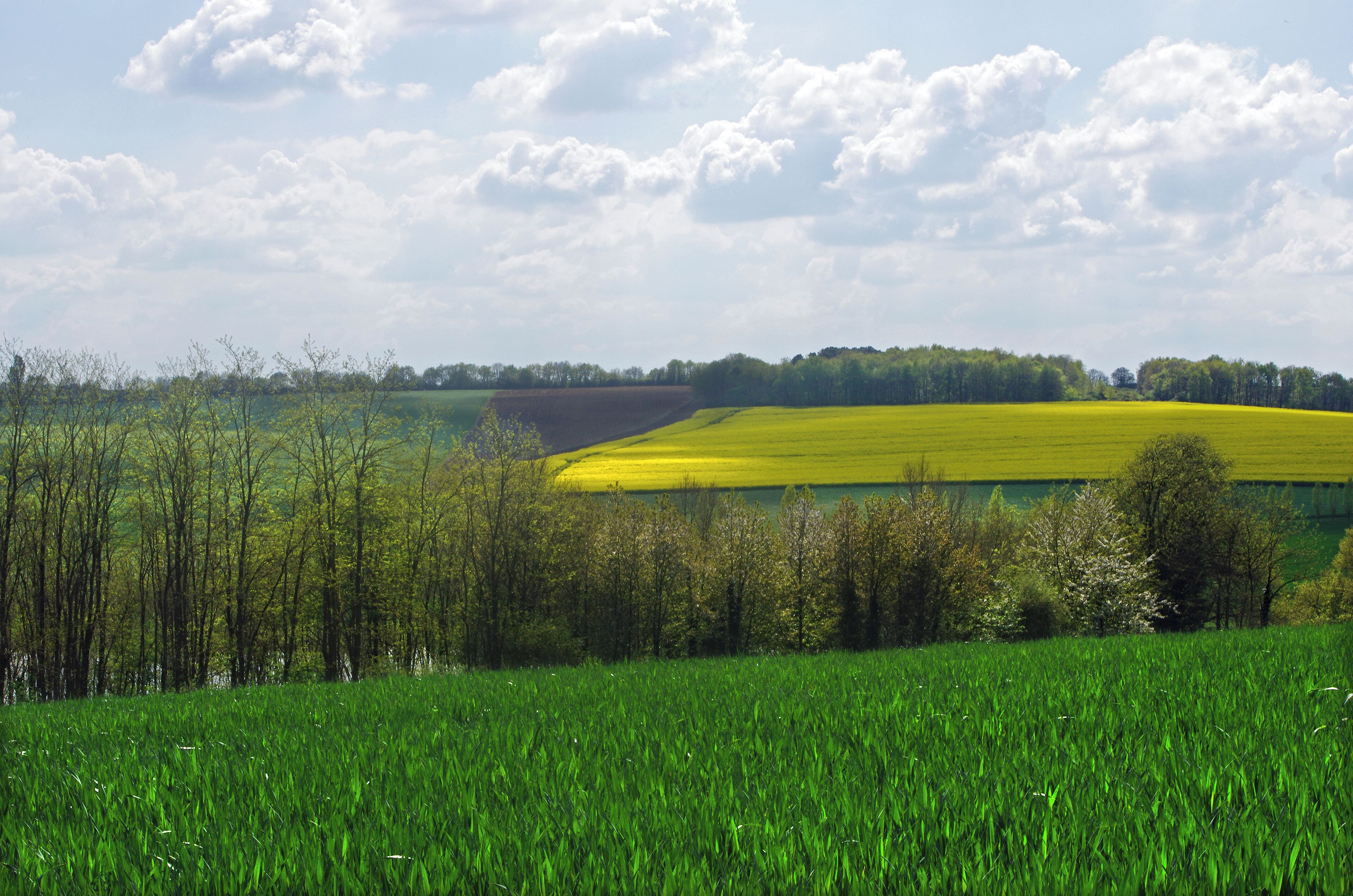 Campagne de Bridoré.