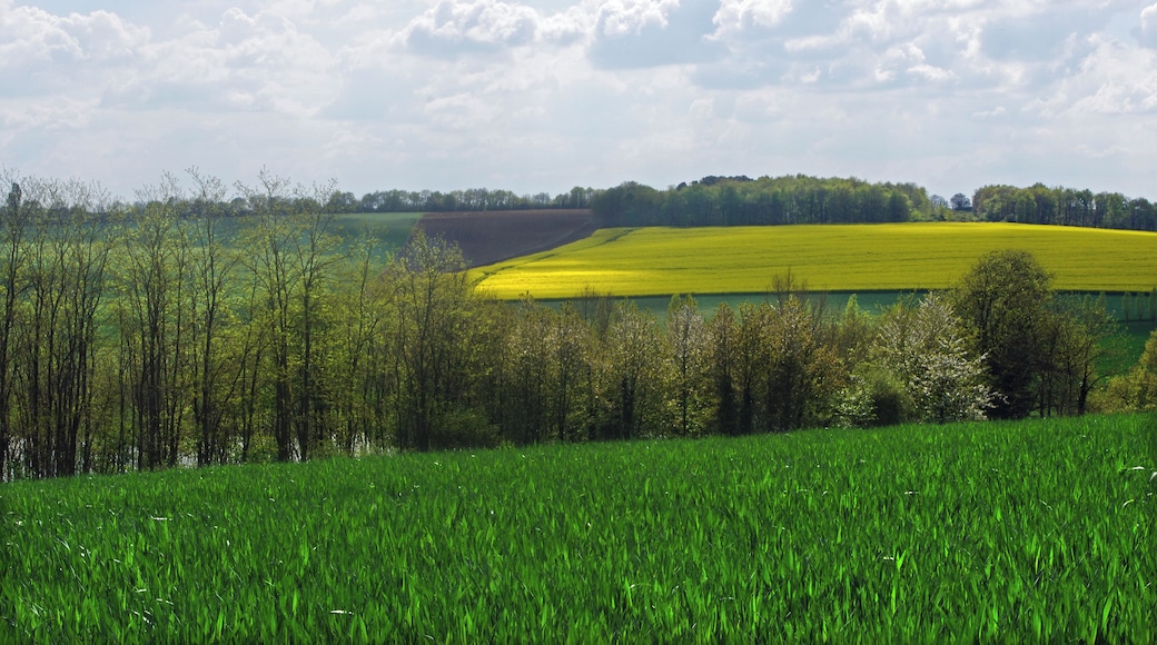 Campagne de Bridoré.