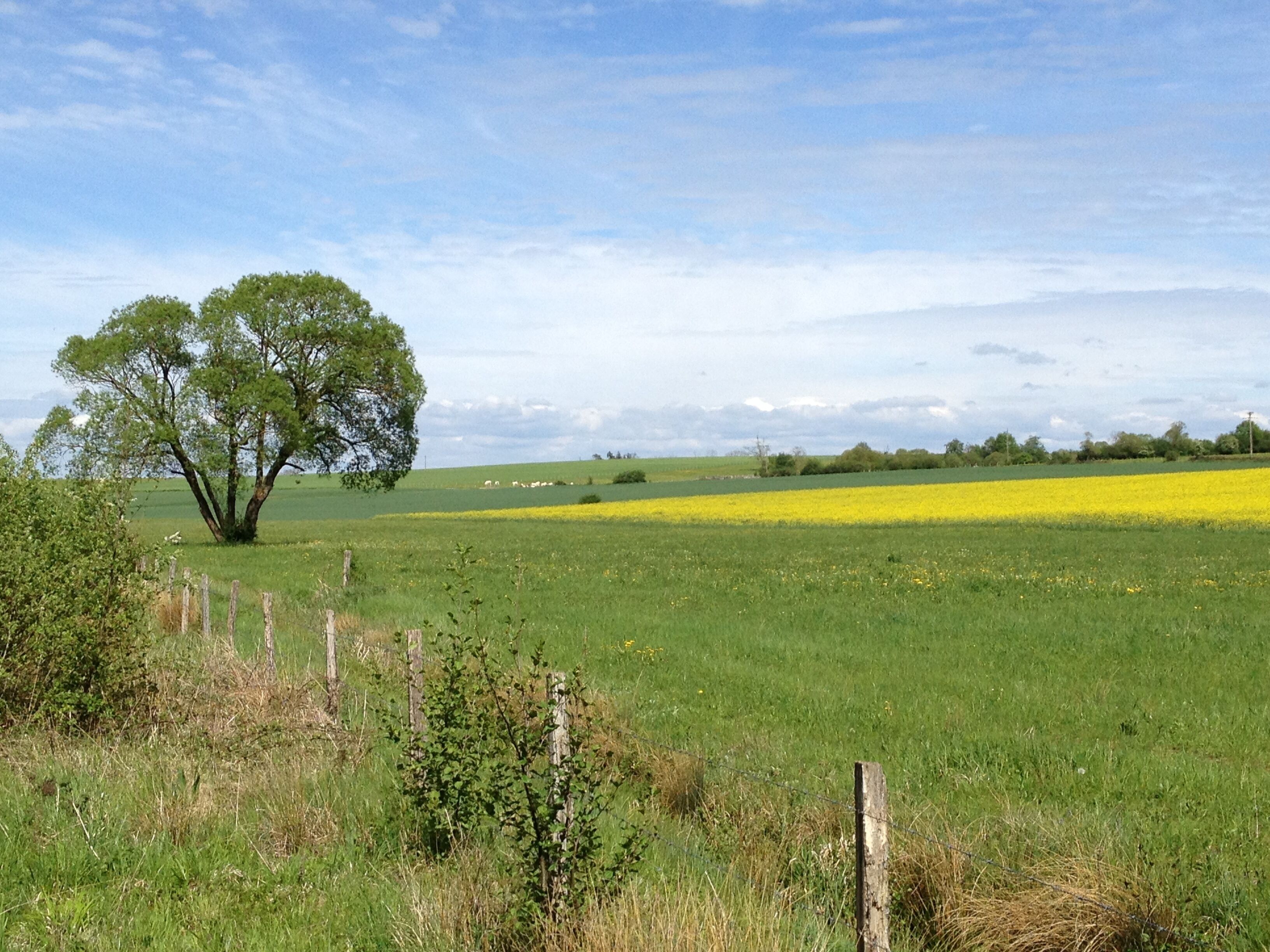 Campagne breueroise vers la prairie