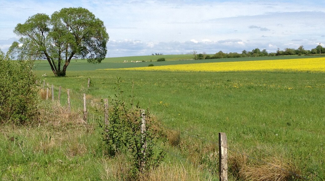 Campagne breueroise vers la prairie