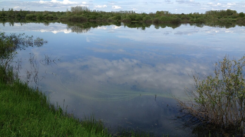 Etang de Breurey-lès Faverney