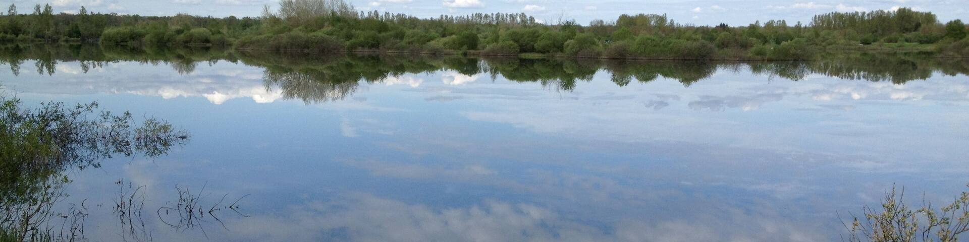 Etang de Breurey-lès Faverney