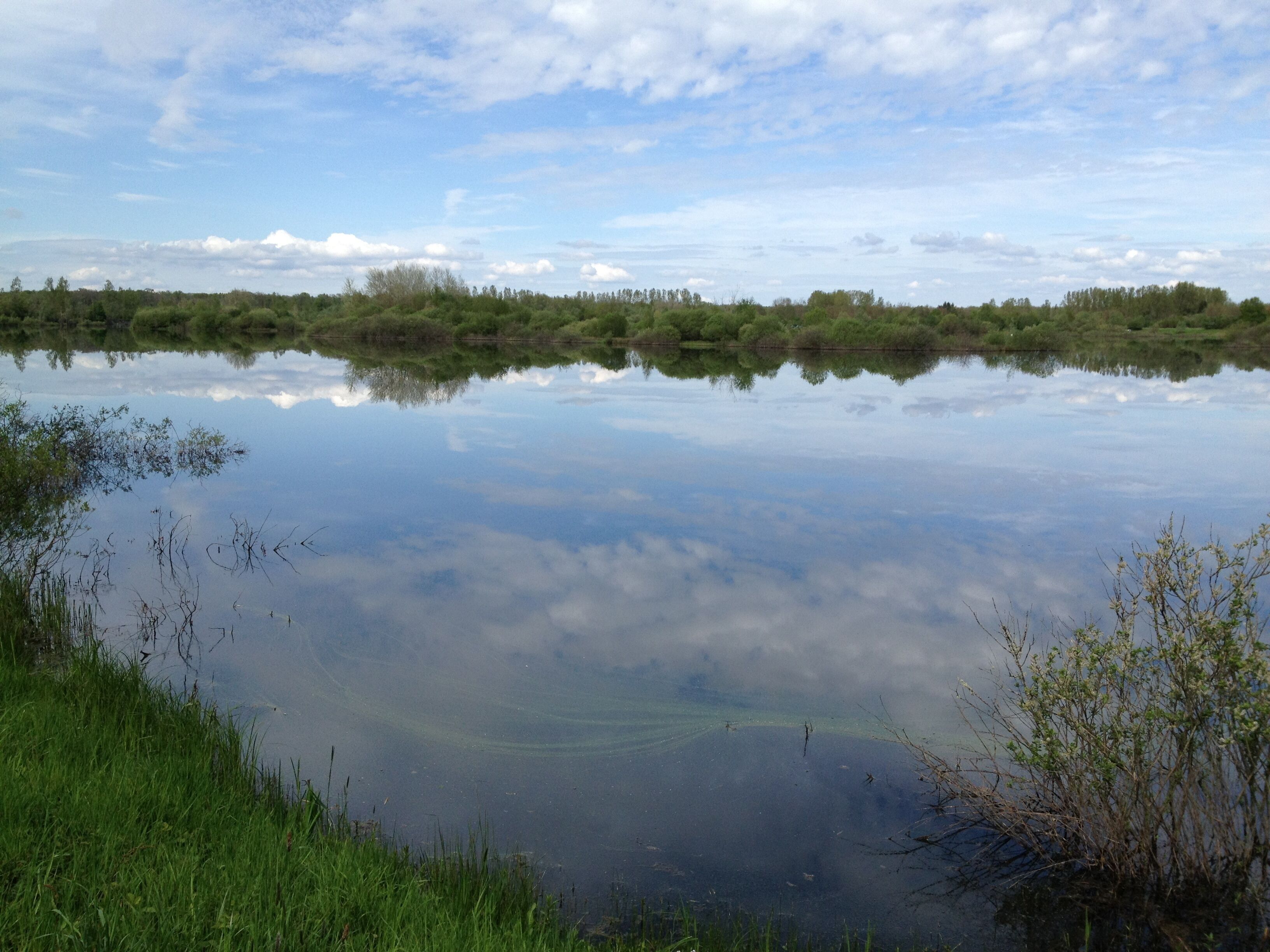 A calm lake with clear reflections of the sky and surrounding greenery.