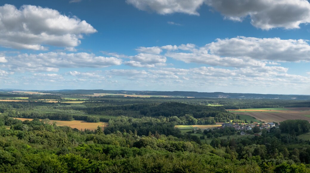View of the Chemin des Dames plateau in the Aisne. France. Panorama
