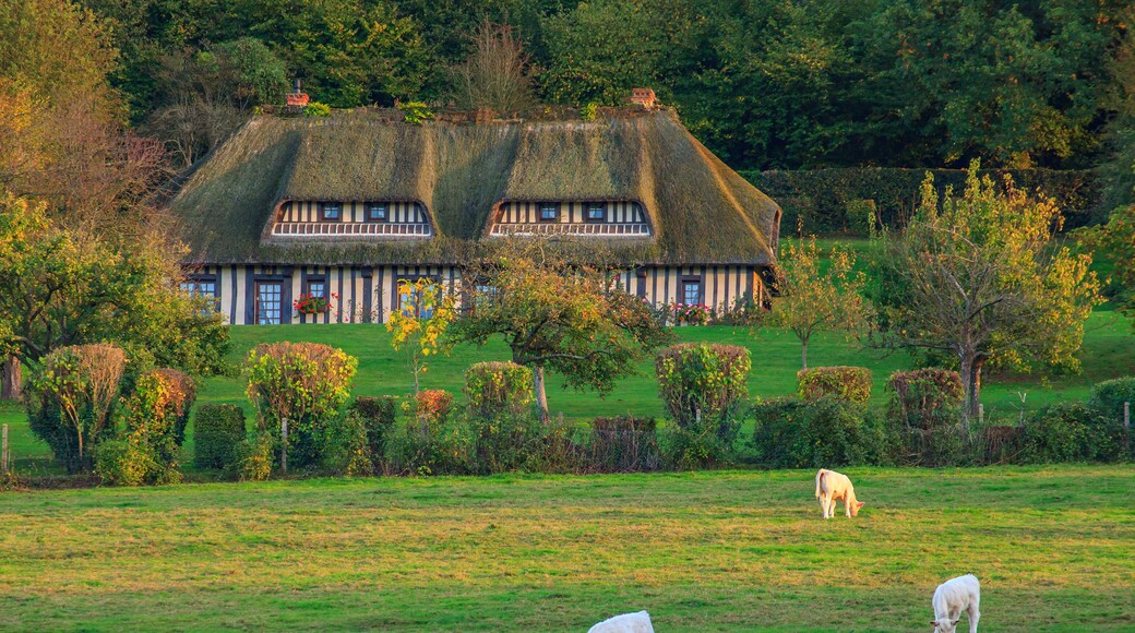Bois-Normand-près-Lyre