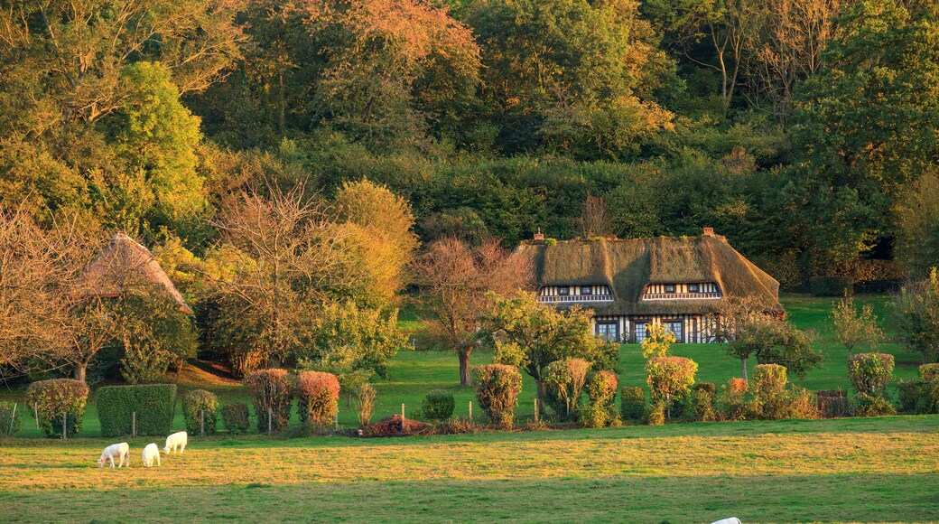 Bois-Normand-près-Lyre