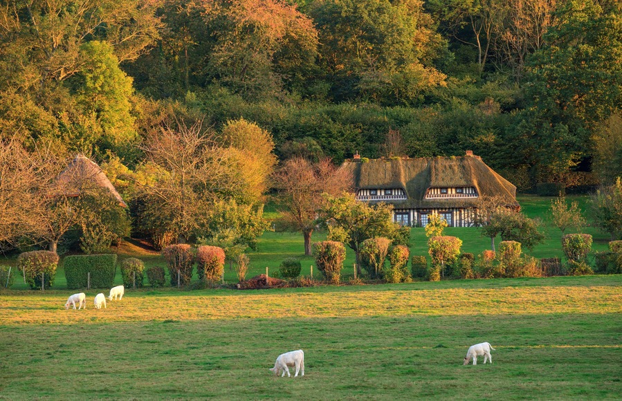 Chaumière dans le marais vernier en automne, Normandie