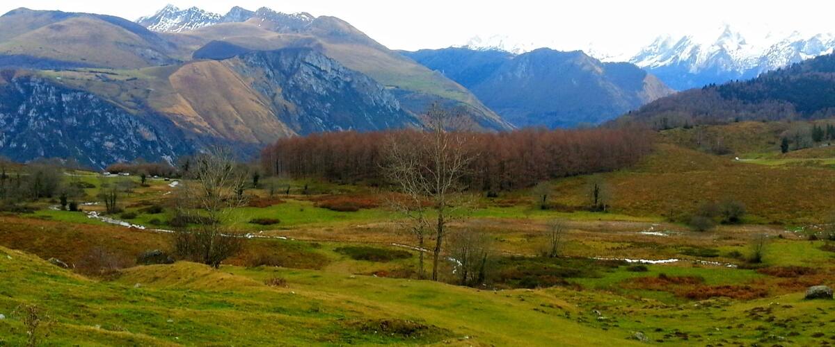 A mountainous landscape with a river, grassy fields, and a forest.
