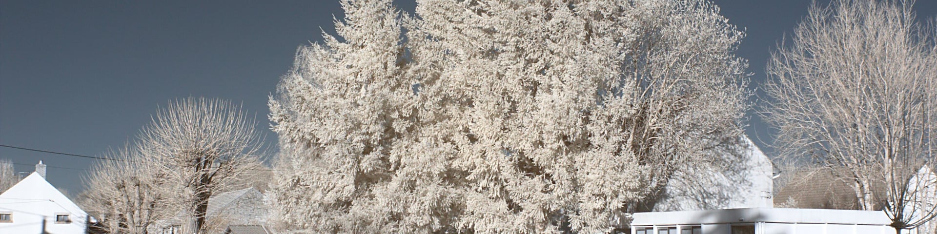 Rue du Grand Commun, Bessey-lÚs-Citeaux (CÎte d'Or, Bourgogne, France) photographié avec un filtre infrarouge 720 nm.
