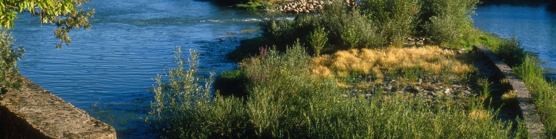 Ruines, Moulin, riviere l'Herault, Bessans, 34, Herault, France