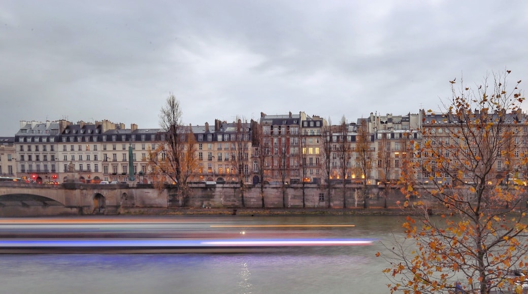 The Seine river banks are always a good idea.. From Musée du Louvre, From Eiffel Tower or from Notre-Dame, go for a stroll. Whatever the season, whatever the weather...