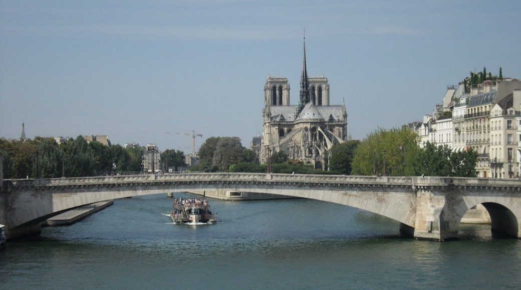 Going towards the back of Cathédrale Notre-Dame