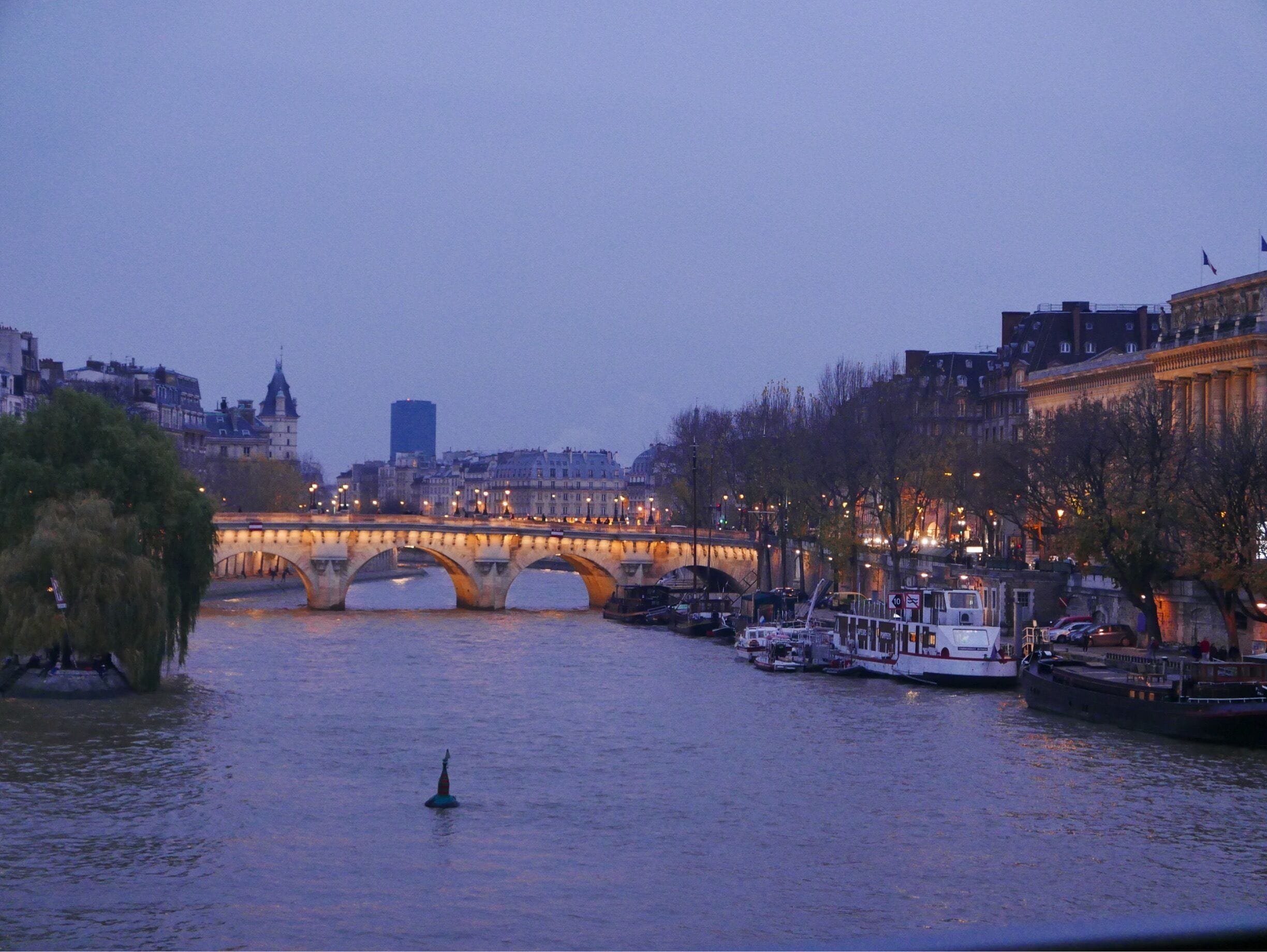 La Seine vue du pont des arts