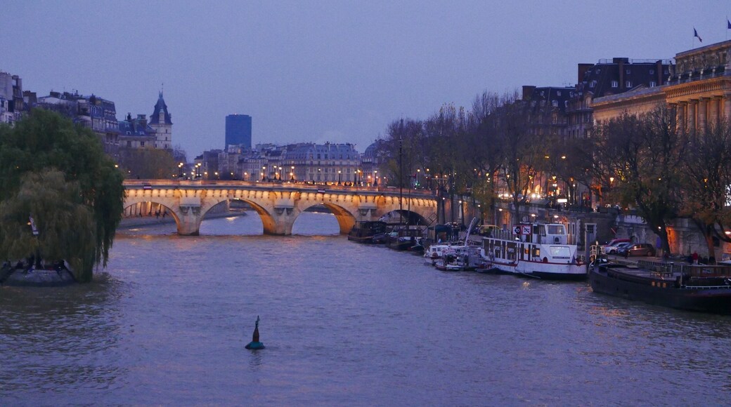 La Seine vue du pont des arts