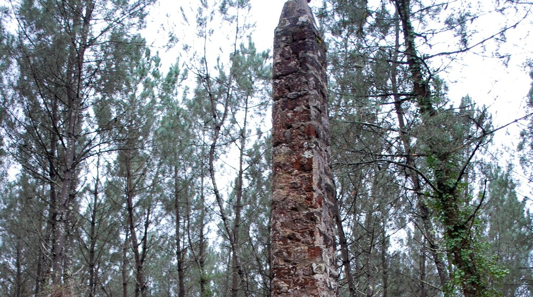 Église Saint-Pierre de Mons de Belin-Bélie