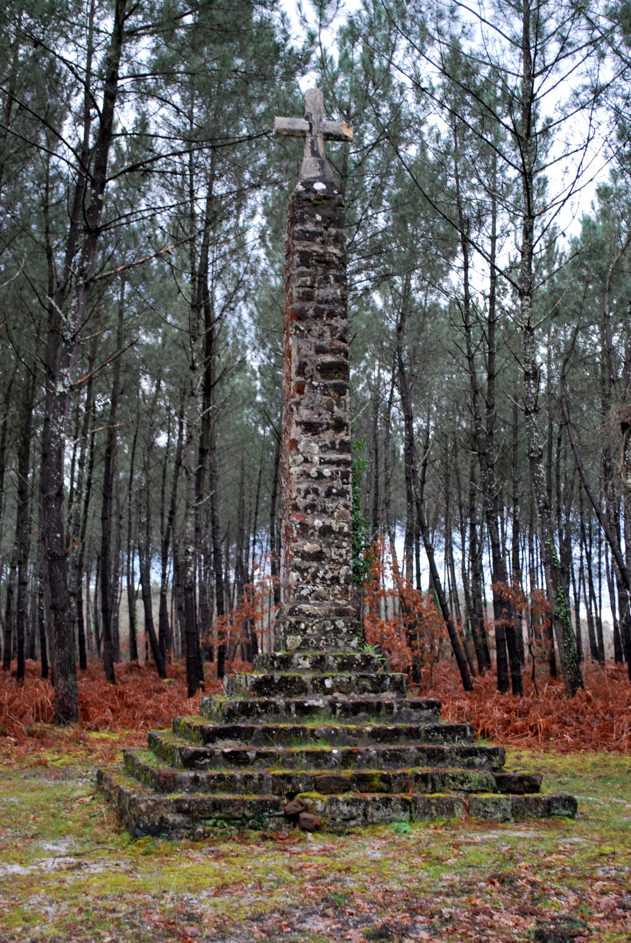 Église Saint-Pierre de Mons de Belin-Bélie
