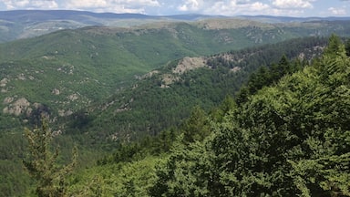 Un paisaje montañoso con bosques densos y colinas ondulantes bajo un cielo parcialmente nublado.