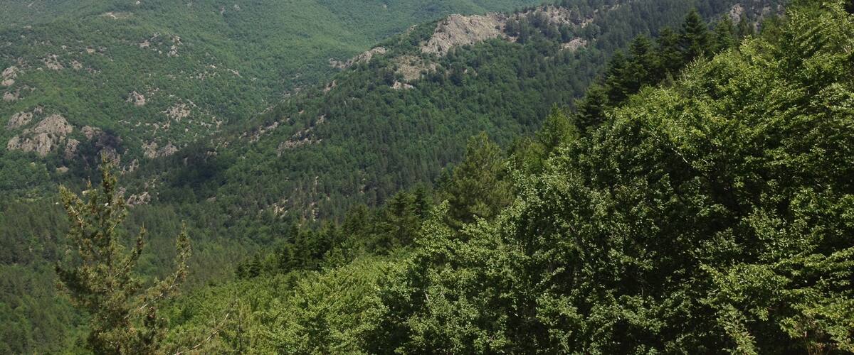 A mountainous landscape with dense forests and rolling hills under a partly cloudy sky.