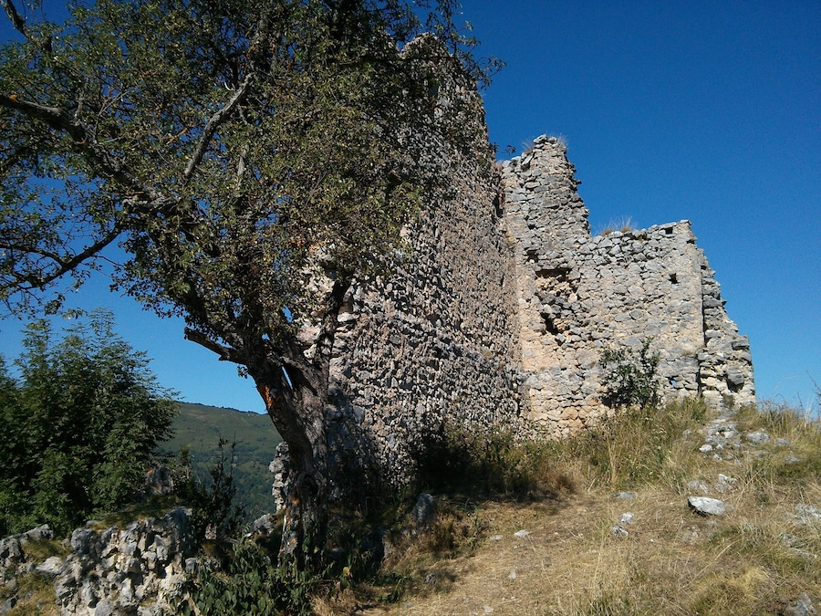 A stone ruin with a large tree in the foreground.
