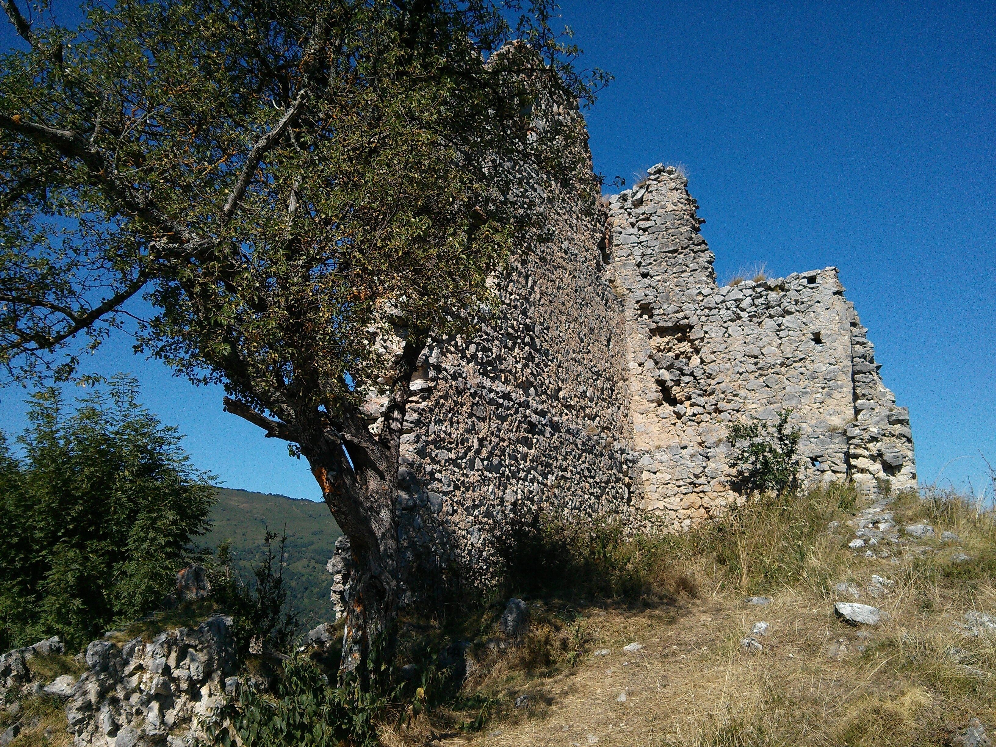 A stone ruin with a large tree in the foreground.
