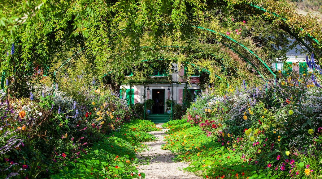 Un chemin de jardin menant à un bâtiment aux volets verts, entouré d’une végétation luxuriante et de fleurs aux couleurs vives.