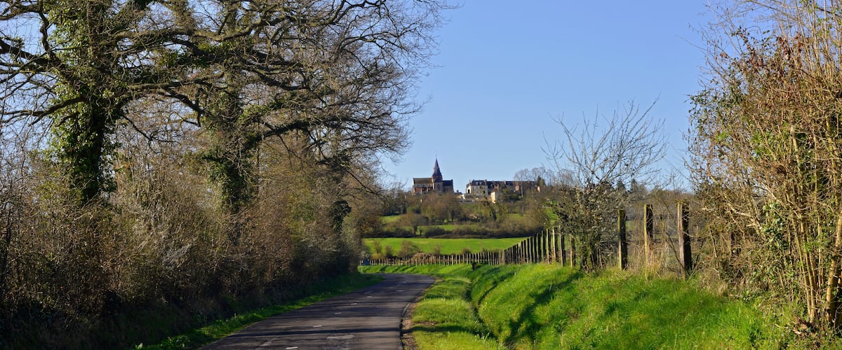 A rural road flanked by trees and a distant castle.
