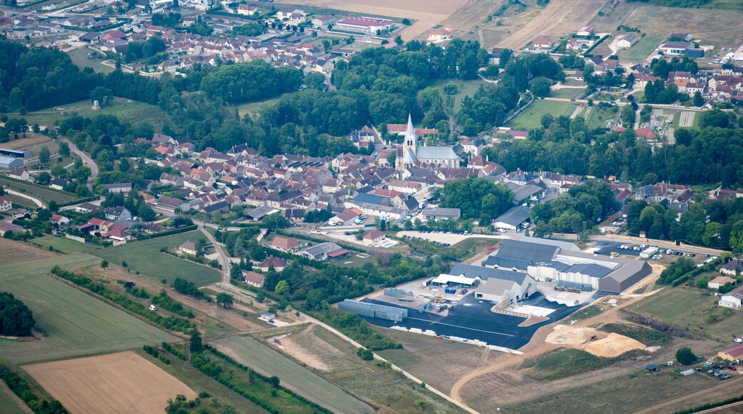 Champagne vineyards in the Cote des Bar area of the Aube department near Les Ryceys, Essoyes and Celles-sur-Ource, Champagne-Ardennes, France, Europe, as seen from little airplane