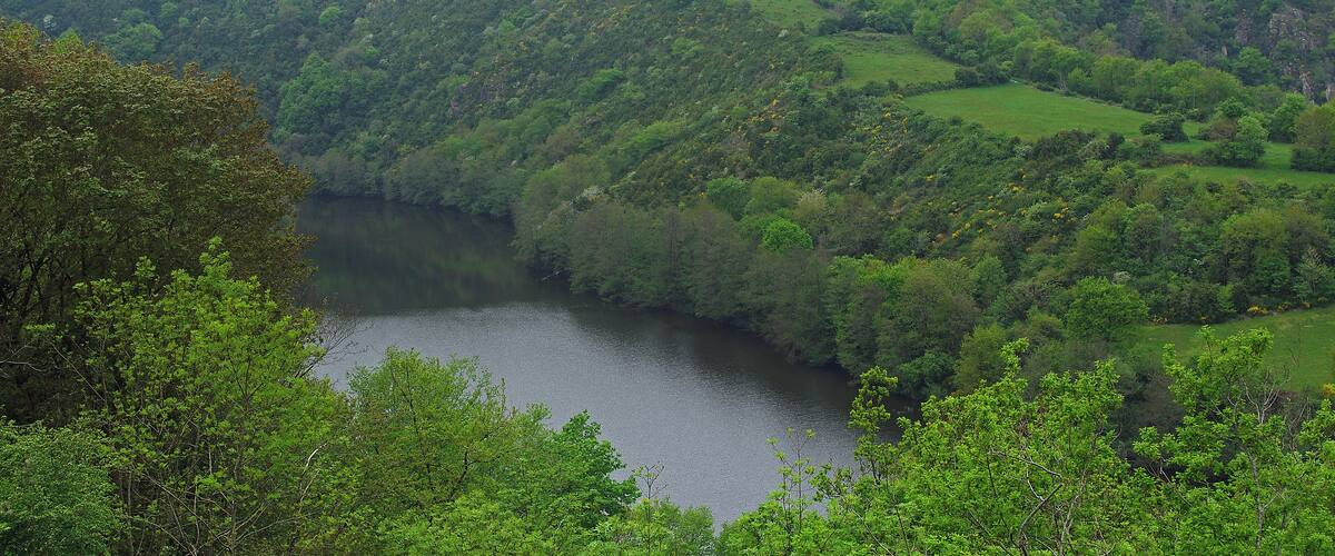 A river winding through a lush valley with rolling hills and scattered houses.