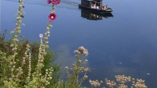 Cycle path from Saumur