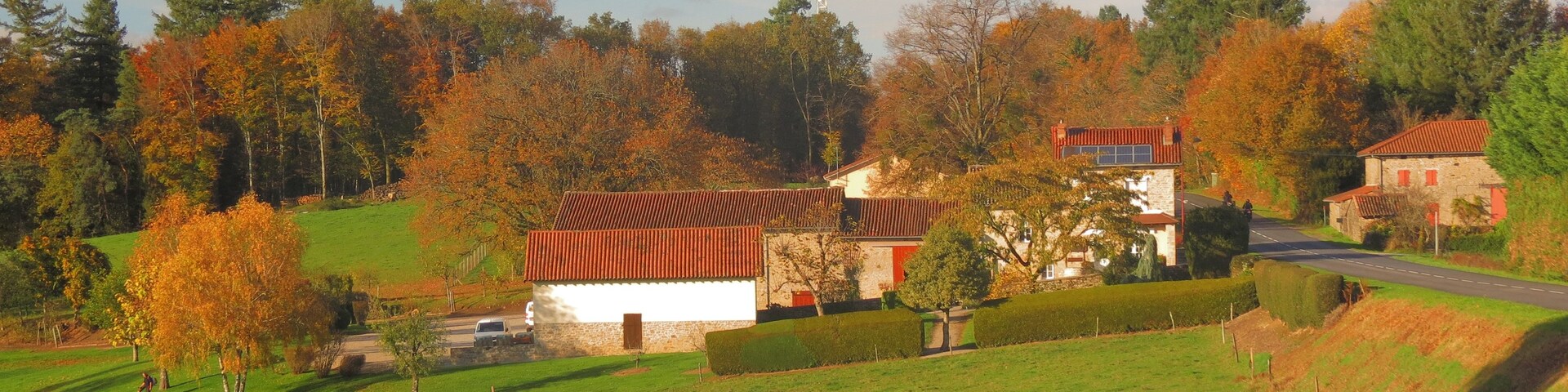 Paisaje rural con ganado pastando, una casa de piedra y árboles de colores otoñales.