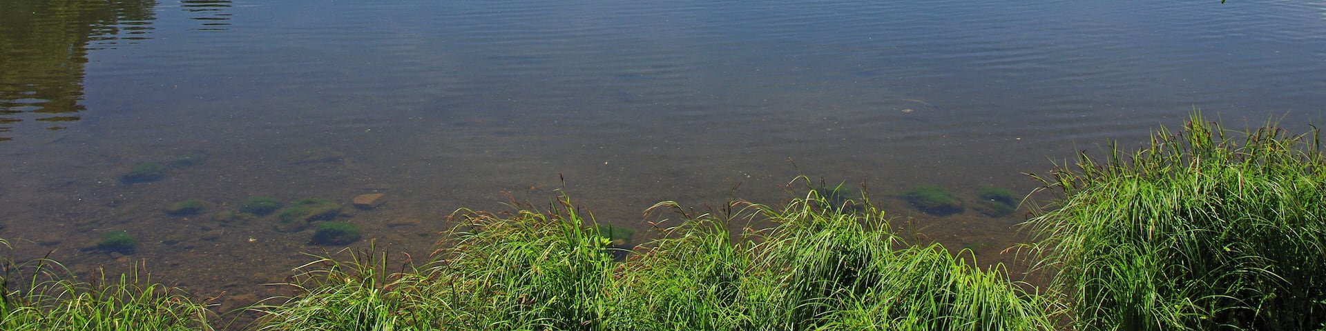 Aydat (Puy-de-Dôme) Lac d'Aydat. Le lac d'Aydat est le plus grand lac naturel d'Auvergne (65 ha). Le lac provient de la retenue de la rivière de la Veyre par une coulée de lave (La cheire* d'Aydat). La cheire d'Aydat est en réalité le résultat de deux coulées, l'une issue du Puys de la Vache et l'autre du Puys de Lassolas. La datation de fragments de bois calciné retrouvés sous la lave donne un âge d'environ 7700 ans à cette coulée commune. Cheire ou cheyre : champ de lave rugueux. Aydat (Puy-de-Dôme) Lake Aydat. Aydat Lake is the largest natural lake in Auvergne (65 ha). The lake comes from retaining the River Veyre by a lava flow (* The cheire Aydat). The cheire Aydat is actually the result of two lava flows, one end of the Puy de la Vache and the other Puys Lassolas. The dating of calcined wood fragments found under the lava gives an age of about 7700 years this common casting. Cheire or Cheyre: rough lava field.