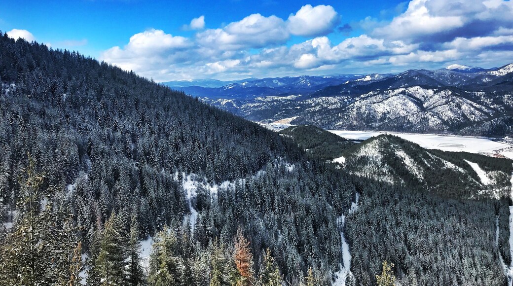 This photo shows how angle is everything, be flexible, and be BRAVE. I held my iPhone 7+ out of the Gondola to capture this image looking back, but was able to hide the proof of the gondola completely. #ontheroad