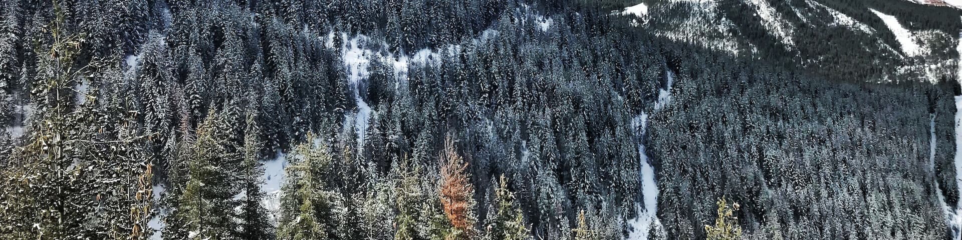 This photo shows how angle is everything, be flexible, and be BRAVE. I held my iPhone 7+ out of the Gondola to capture this image looking back, but was able to hide the proof of the gondola completely. #ontheroad