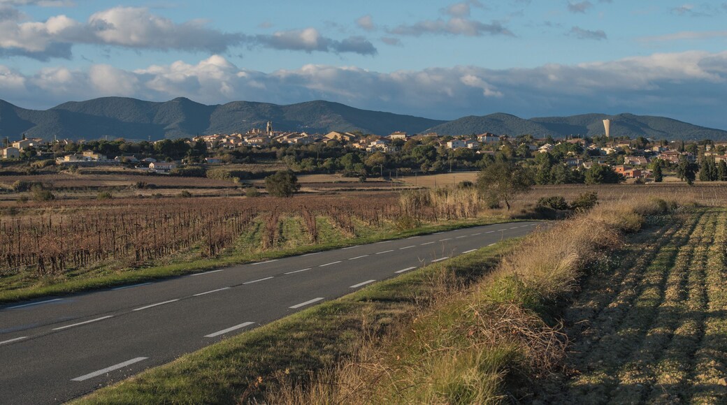 Autignac, Hérault, France.