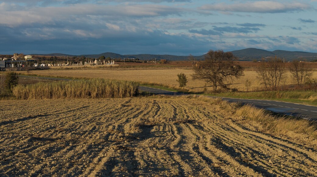 Autignac, Hérault, France.