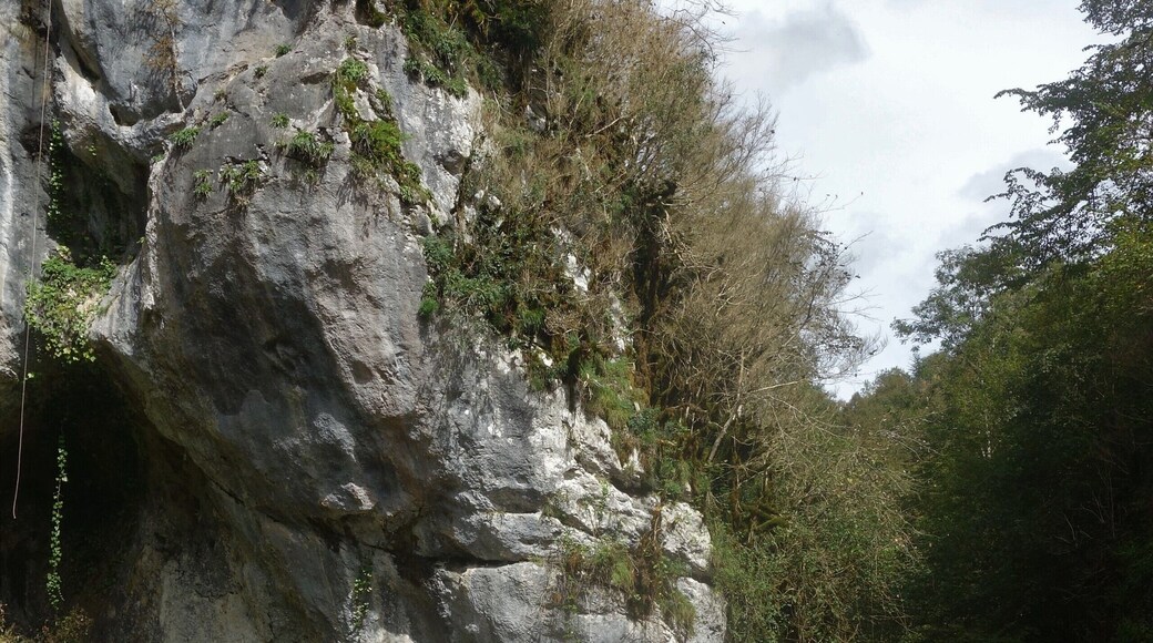Plateau de Lannemezan