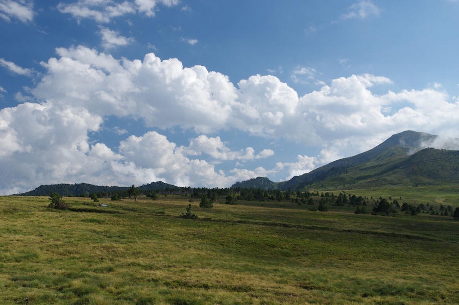 A grassy field with a mountain in the background and a partly cloudy sky.