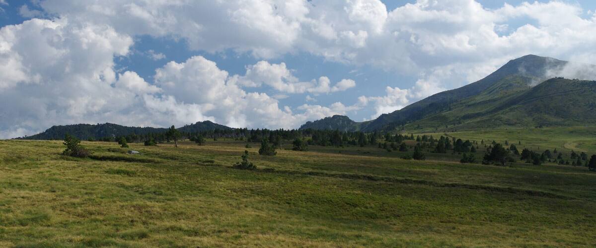 A grassy field with a mountain in the background and a partly cloudy sky.