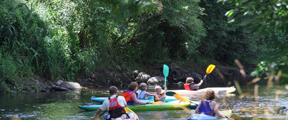 People kayaking on a calm river surrounded by lush greenery.